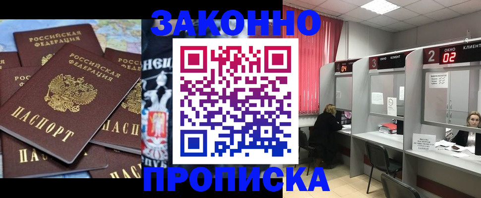 прописка поиск в Камышине